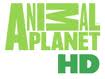 Animal Planet HD